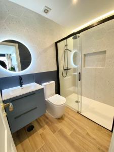 La salle de bains est pourvue de toilettes, d'un lavabo et d'une douche. dans l'établissement AM I Segovia VUT, à Ségovie
