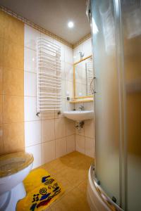 a bathroom with a shower and a sink and a toilet at Bajeczny Wypoczynek Apartamenty in Witów