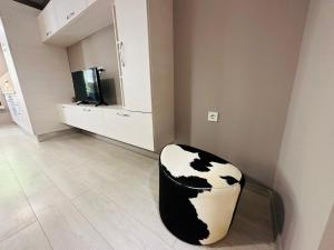 Μια τηλεόραση ή/και κέντρο ψυχαγωγίας στο STUDIO KATRIN +3 φωτογραφίες