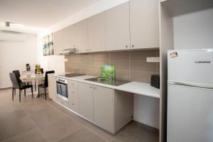Kuchyň nebo kuchyňský kout v ubytování Costas Apartments