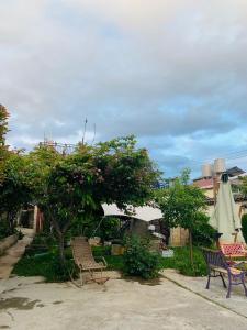 une terrasse avec 2 chaises, un arbre et un parasol dans l'établissement Kevin's Trekker Inn, à Shangri-La