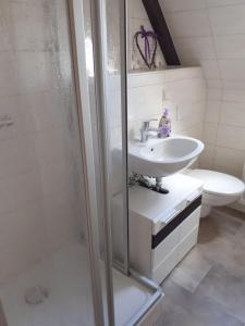 y baño con ducha, lavabo y aseo. en Ferienwohnung-Ritscher-in-Lichtenhain-2, en Lichtenhain