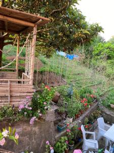 Giardino di Ana House
