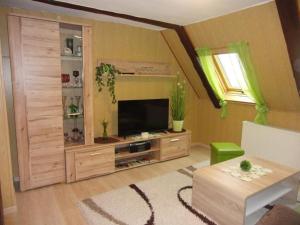 TV a/nebo společenská místnost v ubytování Ferienwohnung-Ritscher-in-Lichtenhain-1