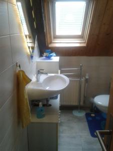 uma casa de banho com um lavatório e um WC em Ferienwohnung-Ritscher-in-Lichtenhain-1 em Lichtenhain