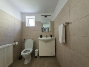 Koupelna v ubytování Casa Coraiu + 47 fotografií