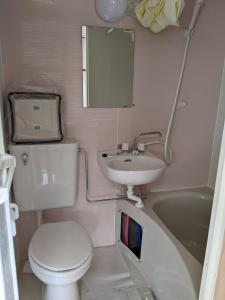 ein Badezimmer mit einem WC, einem Waschbecken und einem Spiegel in der Unterkunft Pension Alba - Vacation STAY 70972v in Tateyama