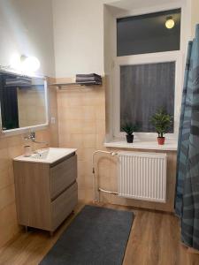 een badkamer met een wastafel en een raam bij Ubytovanie v centre FREE PARKING in Martin