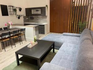 een woonkamer met een bank en een tafel bij Ubytovanie v centre FREE PARKING in Martin