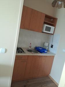 Kuchyňa alebo kuchynka v ubytovaní Alinka Apartmanház