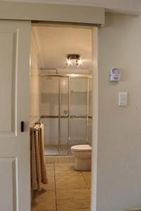 a bathroom with a toilet and a walk in shower at Phoenix Lodge - Ramsgate KwaZulu Natal in Margate