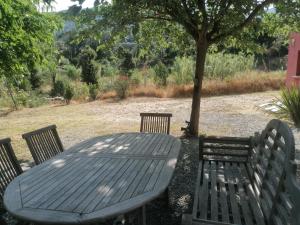 ein Picknicktisch mit drei Stühlen und einem Baum in der Unterkunft Hacienda, villaT4 de 110m2 proche de St Florent in Patrimonio