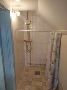 y baño con ducha y cortina de ducha. en Vadstena semesterlägenhet, en Vadstena