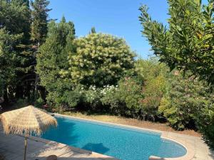 a swimming pool with an umbrella and some trees at Madeleine sous son platane in Avignon