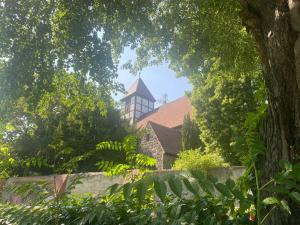 a view of a house through a tree at Lake Side Park/Historic/BER/THF in Berlin