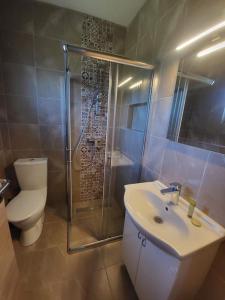 y baño con aseo, lavabo y ducha. en Apartman MatiNik1 en Gornja Toplica