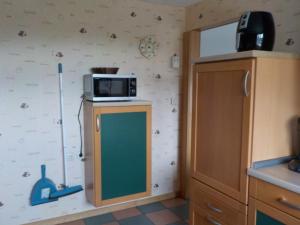 una cocina con microondas en la parte superior de un armario en Ferienwohnung Wolf, en Ensdorf