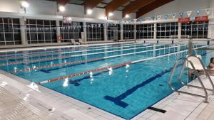 a large swimming pool with blue water at Forest paradise in Koprivnica