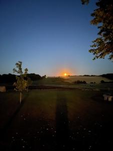 een zonsondergang boven een veld met een boom op de voorgrond bij Meldbjerg in Stouby