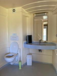 y baño con aseo, lavabo y espejo. en Domaine de la roselière • Nature • Brenne, en Rosnay