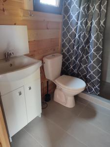 a bathroom with a toilet and a sink and a shower at Letniskowy Domek Berneński Zakątek in Charzykowy