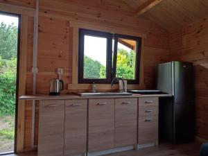 a kitchen with a refrigerator and a sink in a cabin at Letniskowy Domek Berneński Zakątek in Charzykowy
