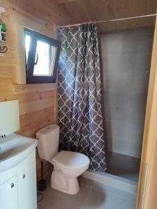 a bathroom with a toilet and a shower curtain at Letniskowy Domek Berneński Zakątek in Charzykowy