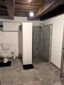 uma casa de banho com um chuveiro e um WC. em Puskás vendégház 