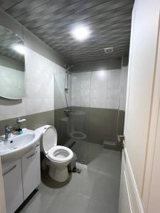 Hotel White House في تبليسي: حمام مع مرحاض ودش ومغسلة