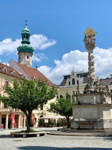 a fountain in the middle of a city with buildings at Interno Casa in Sopron