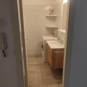 a small bathroom with a sink and a toilet at Appartamento Levico lake in Levico Terme +22 photos