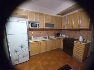 Kuchyň nebo kuchyňský kout v ubytování Peramos Apartments