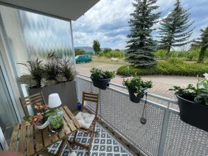 Zahrada ubytování Ferienwohnung in Maikammer