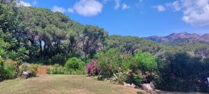 un jardín con flores y árboles en una colina en Villetta Giada, en Capoliveri
