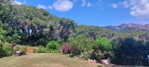 Gallery image of Villetta Giada in Capoliveri