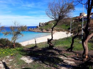 a beach with trees on a hill next to the ocean w obiekcie La Residenza del Porto w mieście Santa Teresa Gallura