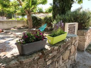 Κήπος έξω από το Maisonnette rénovée en campagne