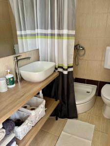 a bathroom with a sink and a toilet and a shower at Apartments Stela in Gornji Karin