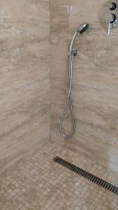 a shower with a shower head in a bathroom at Pensiunea Sergiu & Geanina in Arad