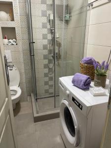 een wasmachine in een badkamer met een douche bij Apartments Tijana in Budva