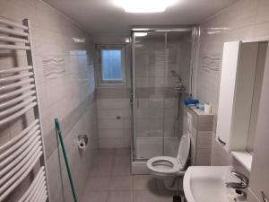 a bathroom with a shower and a toilet and a sink at Holiday house Radić in Sošice
