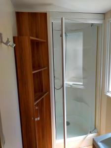 a glass shower in a bathroom next to a wooden door at MOBIL HOME LMNP GUIGON in La Roque-dʼAnthéron