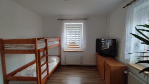 a bedroom with bunk beds and a television and a window at Apartmán AMSEL in Ostrov