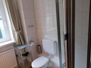 ヴェスターラントにあるSylter-Besserburg-Appartement-1のバスルーム(トイレ、シャワー付)