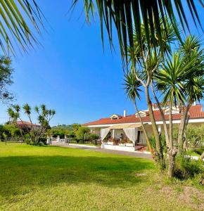 una palma di fronte a una casa di Villa Liberti a Castellabate