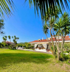una palmera delante de una casa en Villa Liberti, en Castellabate 49 fotos más