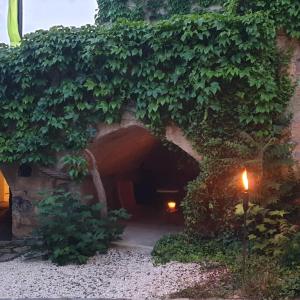 a tunnel in the side of a building covered in vines at La Tour Noble in Saint-Saturnin