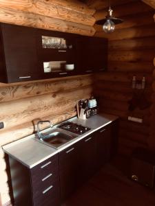 - une cuisine avec une cuisinière et un évier dans une cabine dans l'établissement Wood house Halkidiki, à Nea Fokea