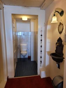 a bathroom with a toilet and a walk in shower at Zunfthaus zur Rebleuten in Chur