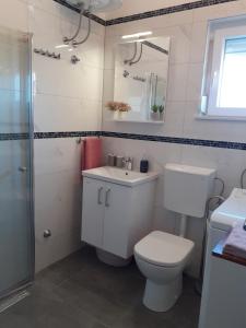 a bathroom with a toilet and a sink and a shower at Apartments Lora in Vir +84 photos